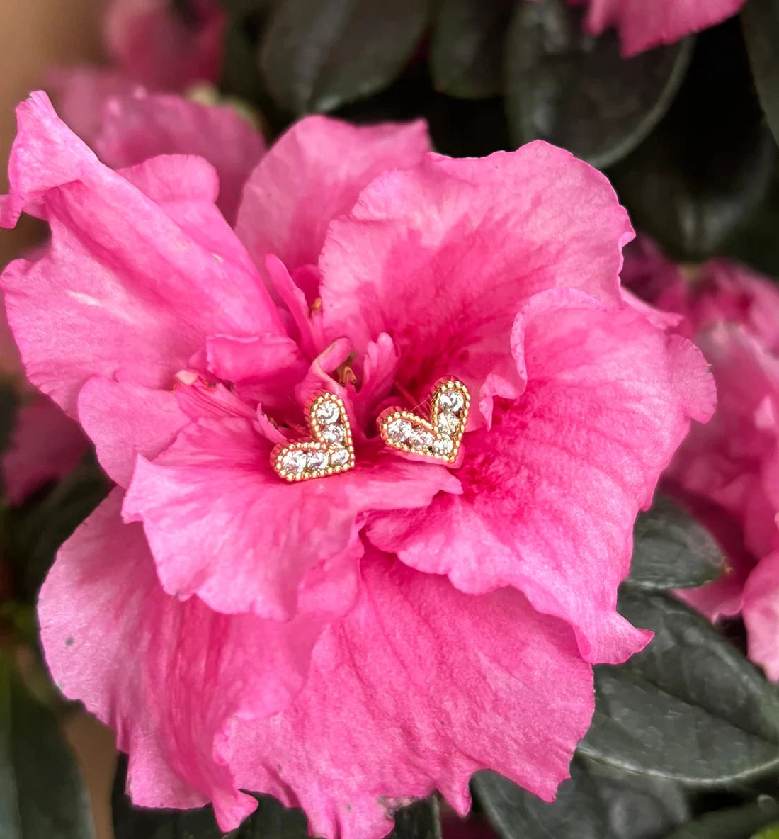 14ct Gold Plated Cubic Zirconia Heart Earrings | 2 Colours Earrings Ocean Ripple
