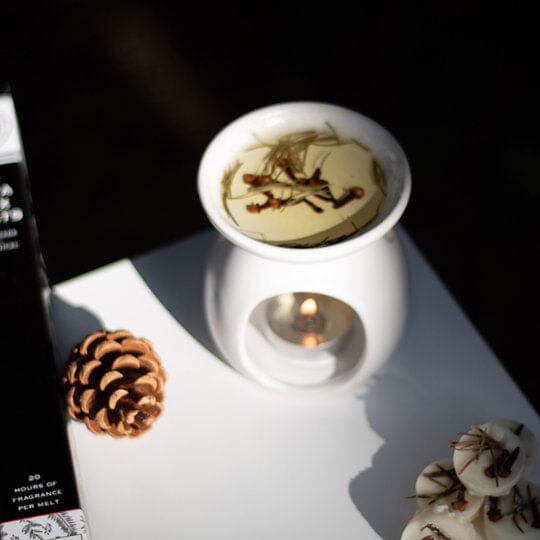ALL SEASON - WAX MELT SET | SET OF 10 Candles Freckleface