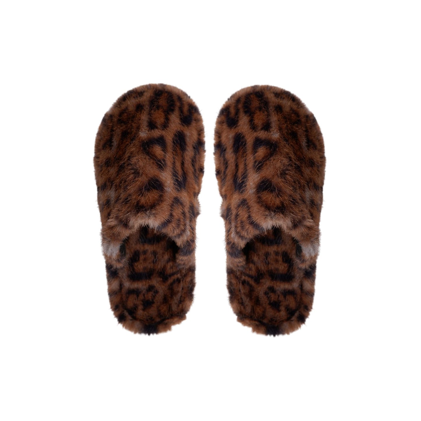 Blaze Slippers | Mocca Leo Slippers Black Colour 