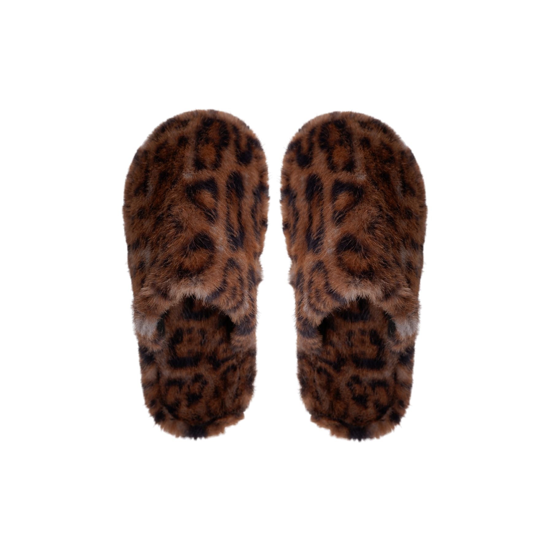 Blaze Slippers | Mocca Leo Slippers Black Colour 