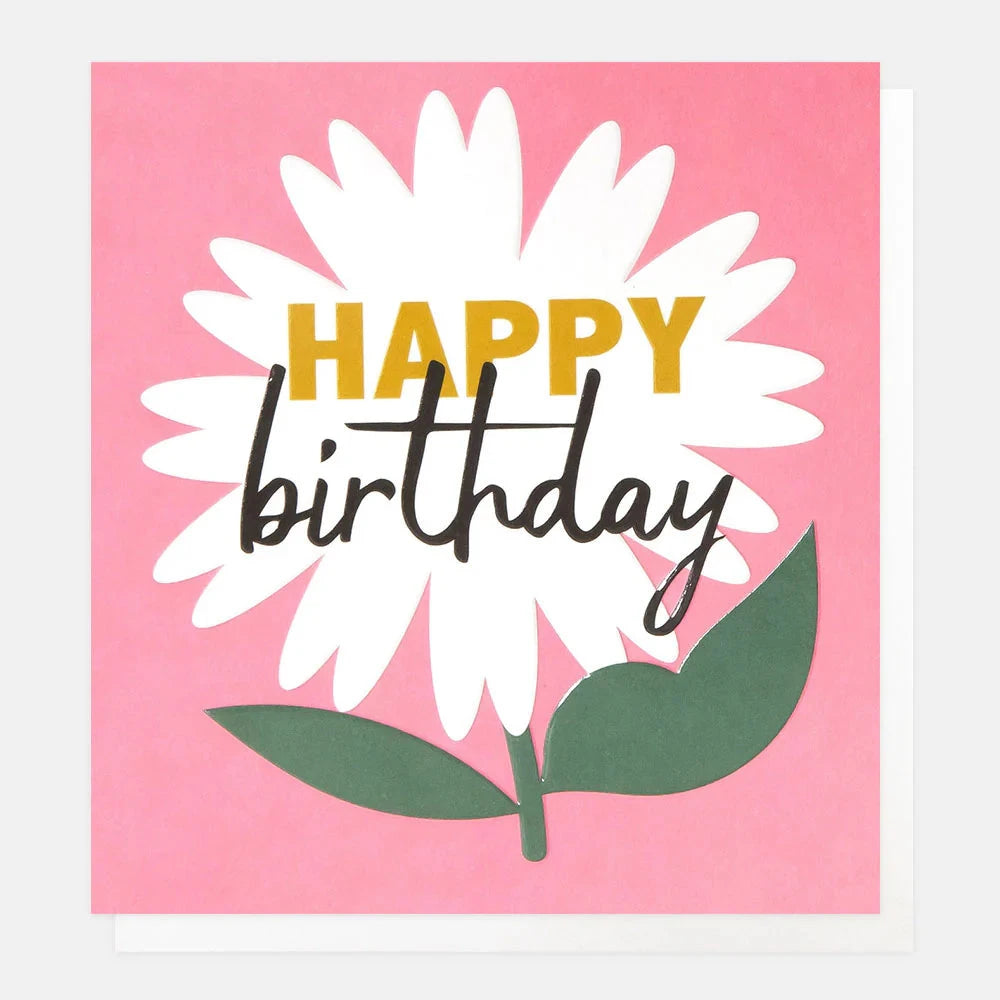 Card | Happy Birthday White Daisy on Pink Greeting card Caroline Gardner 