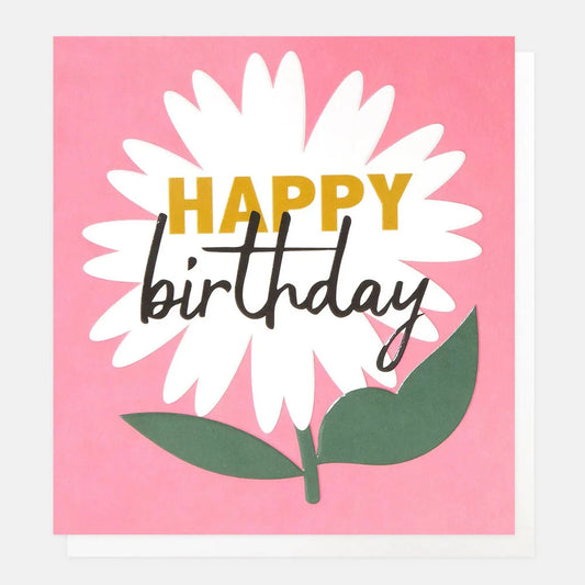 Card | Happy Birthday White Daisy on Pink Greeting card Caroline Gardner 