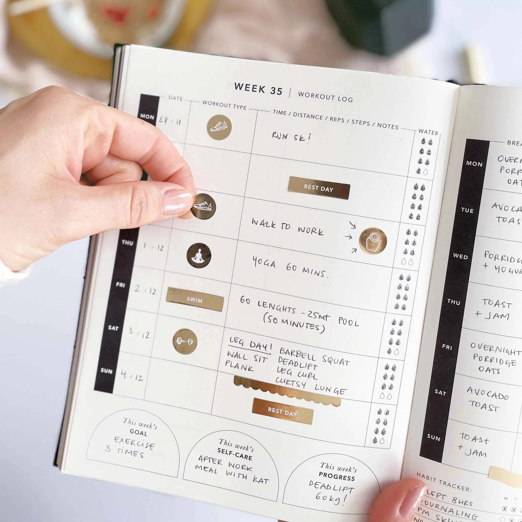 Daily Fitness Planner | Blossom Stationery Blush and Gold 