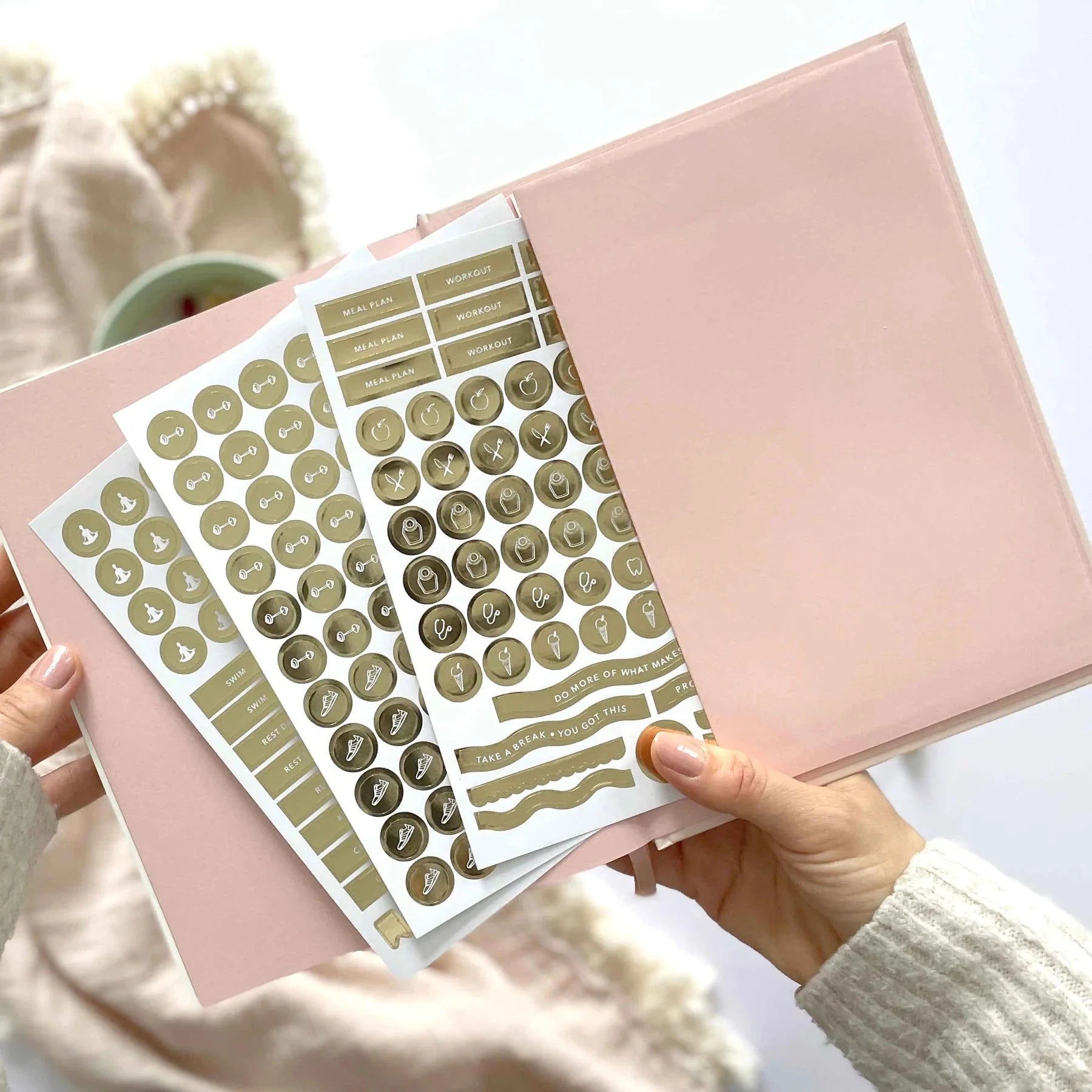 Daily Fitness Planner | Blossom Stationery Blush and Gold 