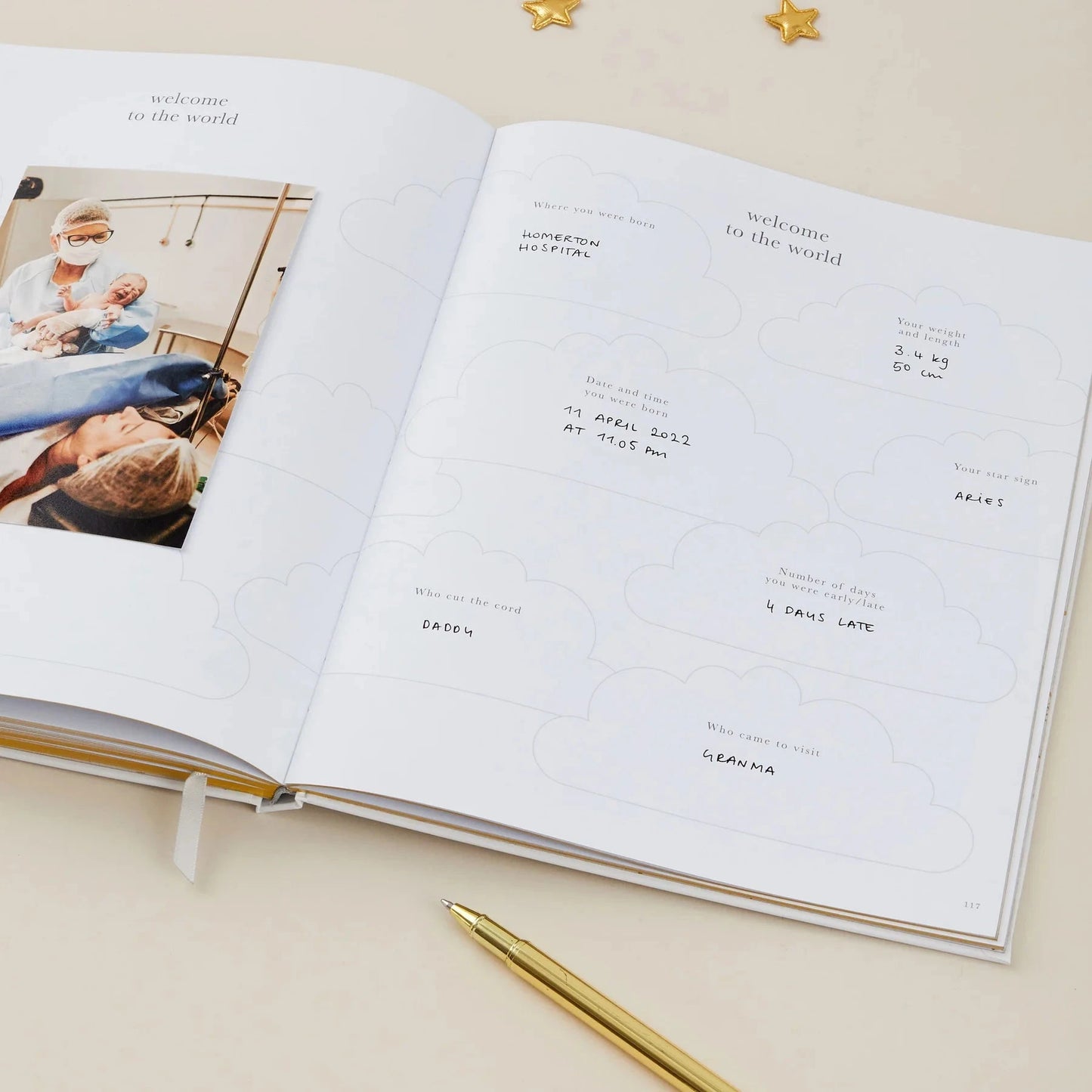 Pregnancy Journal | Pearl Stationery Blush and Gold 