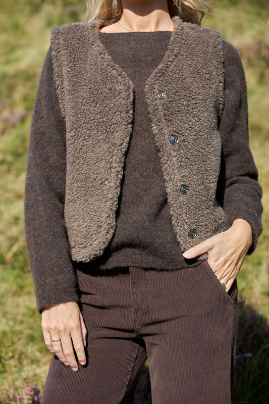 Teddy Vest | Taupe Gilet Black Colour 