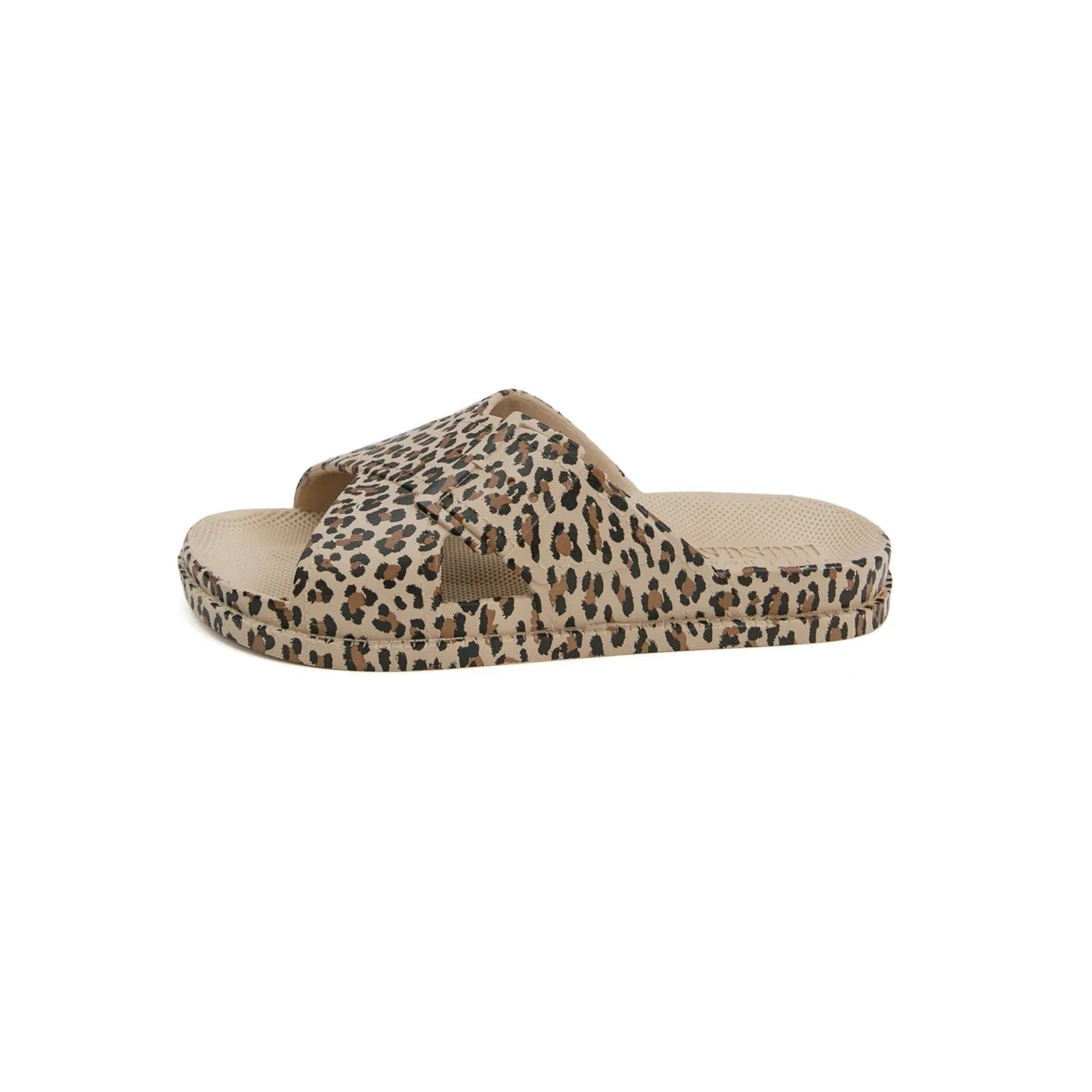 Wildcat | Animal Sliders Freedom Moses 